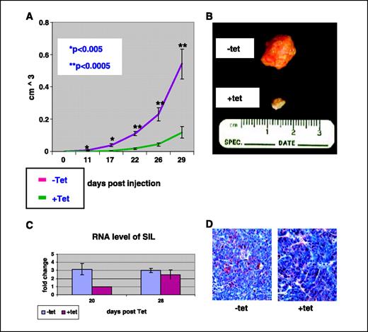 Figure 4. SIL down-regulation prevents tumor growth in vivo. A, 20 female mice were injected with 2 × 106 LS2 cells. Five days postinjection, half of the mice received tetracycline in their drinking water. Every 3 d, the water was changed to avoid tetracycline degradation. Twice a week, tumor size was measured in all mice in three diameters (X × Y × Z / 2). The graph shows the average growth in each group in three different experiments. A t test was used to analyze each group on each measurement day. B, two examples of tumors excised from mice in which one received Tet and the other did not. C, real-time PCR results for SIL RNA levels in tumors excised at days 20 and 28. D, immunostaining for SIL in tumors excised from mice at day 28 showing SIL expression in tumors that escaped the growth arrest.