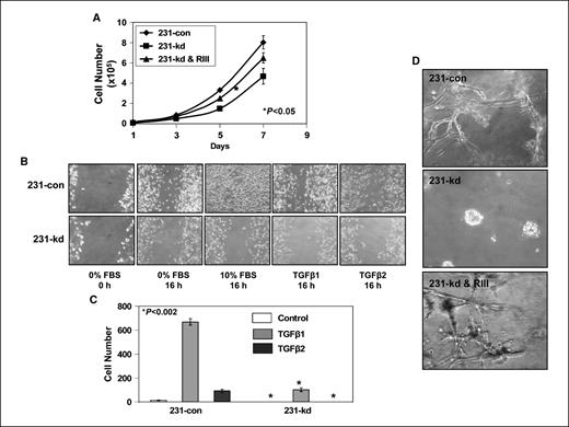 Figure 2. Loss of TβRIII results in decreased motility and invasion. A, cells were seeded in IMEM/10% FBS at a density of 1 × 104 per well in 12-well plates. Cells were then harvested every other day for a total of 7 d and counted using a Coulter Counter. Points, mean of three wells; bars, SD. Statistical significance was determined using Student's t test. B, confluent cell monolayers were incubated overnight in serum-free IMEM and then scraped with a pipette tip. Media containing 10% FBS or 0% FBS ± 2 ng/mL TGF-β1 or TGF-β2 was added to the appropriate wells. Wound closure was monitored 24 h later. C, cells were plated in serum-free medium into the upper chamber of 8-μm pore Matrigel-coated transwell filters. The lower chamber contained serum-free ± 2 ng/mL TGF-β1 or TGF-β2. Cells migrating to the underside of the filter were stained and counted 24 h later. Columns, mean of three wells; bars, SD. Statistical significance was determined using Student's t test. D, cells were plated in growth factor–reduced Matrigel in eight-well chamber slides and allowed to grow for 10 d.