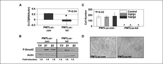 Figure 3. PMTLuc cells with decreased TβRIII expression exhibit decreased growth and invasion. A, QPCR was used to confirm the mRNA levels of TβRIII. Total RNA was harvested, as described in Materials and Methods. Reverse-transcribed cDNA (500 ng) derived from PMTLuc-con cells was amplified using primers specific for TβRIII and actin. All Ct values were equilibrated to the actin control. Columns, mean of three wells; bars, SD. Statistical significance was determined using Student's t test. B, subconfluent PMTLuc cell monolayers were incubated in serum-free DMEM overnight. The following day, fresh serum-free medium ± 2 ng/mL TGF-β1 or TGF-β2 was added. Cells were lysed in NP40 buffer, and protein was harvested 3 h after treatment. Total protein from whole cell lysates was separated by 9% SDS-PAGE and subjected to immunoblot analysis with the indicated antibodies. Actin was used as a control. Densitometric analyses were determined using the NIH software ImageJ and normalized to the actin control. Untreated PMTLuc-con cells were used as the comparison to determine fold induction. C, cells were plated in serum-free medium into the upper chamber of 8-μm pore Matrigel-coated transwell filters. The lower chamber contained serum-free media alone or serum-free media ± 2 ng/mL TGF-β1 or TGF-β2. Cells migrating to the underside of the filter were stained and counted 24 h later. Columns, mean of three wells; bars, SD. Statistical significance was determined using Student's t test. D, cells were plated in growth factor–reduced Matrigel in eight-well chamber slides and allowed to grow for 10 d.
