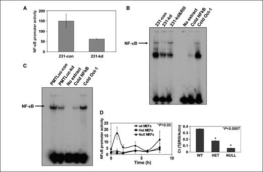 Figure 4. NF-κB activity is reduced in 231-kd cells. A, cells were transfected with NF-κB-Luc, an NF-κB–responsive promoter luciferase plasmid, and allowed to grow for 24 h before being harvested and tested for luciferase activity. Relative luciferase units represent the ratio of Firefly to Renilla luciferase activities. Columns, mean of three wells; bars, SD. Statistical significance was determined using Student's t test. B and C, nuclear extracts were harvested from cells, and electrophoretic mobility shift assays were performed as described in Materials and Methods. D, wild-type, heterozygous, and null MEFs were transfected with NF-κB-Luc, as described above, and allowed to grow for 24 h before being treated with TGF-β2. Cells were harvested at indicated time points and tested for luciferase activity. Relative luciferase units represent the ratio of firefly to Renilla luciferase activities. Points, mean of three wells; bars, SD. Statistical significance was determined using Student's t test. QPCR was used to confirm the mRNA levels of TβRIII. Total RNA was harvested, as described in Materials and Methods. Reverse-transcribed cDNA (500 ng) derived from wild-type MEFs was amplified using primers specific for TβRIII and actin. All Ct values were equilibrated to the actin control. Columns, mean of three wells; bars, SD. Statistical significance was determined using Student's t test.