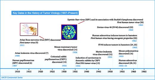 Figure 1. Timeline of advances in tumor virology.