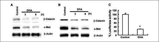 Figure 4. ω3-PUFAs reduce β-catenin protein level and TCF/LEF transcription activity in human cholangiocarcinoma cells. A and B, DHA and EPA decrease β-catenin and c-Met expression in CCLP1 cells. The cells were treated with 60 μmol/L of DHA or EPA in serum-free medium for 3 or 6 h. The cell lysates were obtained for Western blot analysis using antibodies against β-catenin and c-Met as described in Materials and Methods. C, DHA treatment decreases TCF/LEF reporter activity. CCLP1 cells were transiently transfected with the pTCF/LEF-Luc reporter vector. After transfection, the cells were cultured in serum-free medium with DHA (20 μmol/L) for 24 h and then the cell lysates were obtained to determine the luciferase activity. Columns, mean of six independent experiments; bars, SD (*, P < 0.01 compared with control).