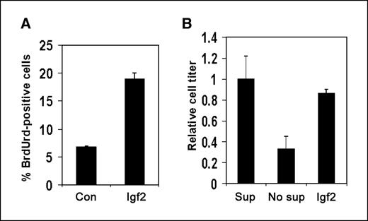 Figure 4. Igf2 promotes GNP proliferation and survival. A, the percentage of GNPs which are proliferating (measured by BrdUrd staining) is increased when cells are cultured in the presence of Igf2 versus control (con) for 48 h. B, Igf2 increases GNP survival under conditions, which normally lead to apoptosis. If P7 GNPs are cultured in media without supplement (no sup) for 48 h, a majority undergo apoptosis compared with those cultured in supplemented media (sup). When Igf2 is added to unsupplemented medium, GNP survival is restored. Columns, mean; bars, SD.