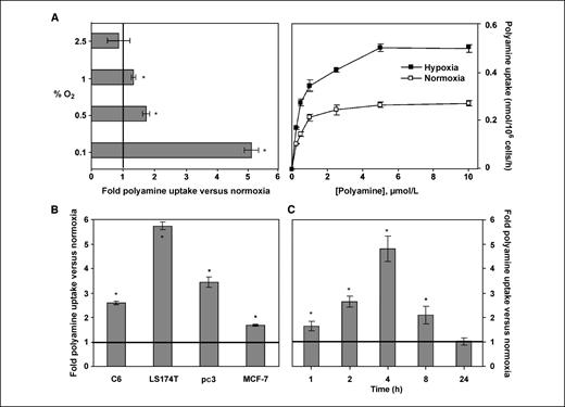 Figure 1. Hypoxic induction of polyamine uptake in cancer cells. A to C, up-regulation of polyamine uptake is transient, non–cell type specific, and varies inversely with the degree of hypoxia. A, left, uptake of the polyamine [14C]spermine (5 μmol/L) was determined in HeLa cells over a period of 30 min after incubation in normoxia or varying degrees of hypoxia (0.1–2.5% O2) for 4 h. Right, dose-dependent uptake of [14C]spermine in HeLa cells was determined following incubation in normoxia or hypoxia (0.5% O2) for 4 h. B, uptake of [14C]spermine (5 μmol/L) was determined in rat glioma (C6), human colon carcinoma (LS174T), prostate cancer (pc3), and breast cancer (MCF-7) cells following incubation in normoxia or hypoxia (0.1% O2) for 4 h. C, uptake of [14C]spermine (5 μmol/L) in HeLa cells after incubation in normoxia or hypoxia for the indicated times shows transient induction by hypoxia. A to C, columns and points, mean from at least two independent experiments, each done in triplicate; bars, SD. *, P < 0.05, versus normoxic control.