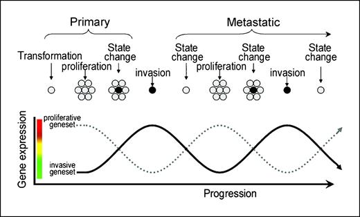 Figure 6. An integrated model for gene regulation of melanoma metastatic potential and progression. Early-phase melanoma cells expressing the proliferative signature gene set proliferate to form the primary lesion. Following this, an unknown signal switch, likely brought about by altered microenvironmental conditions (e.g., hypoxia or inflammation), gives rise to cells with a significantly different invasive signature gene set. Invasive signature cells escape and, upon reaching a suitable distal site, revert to the proliferative state and nucleate a new metastasis where the cycle is repeated. Each switch in phenotype (state change) is accompanied by an exchange in expressed gene sets from proliferative to invasive and vice versa.