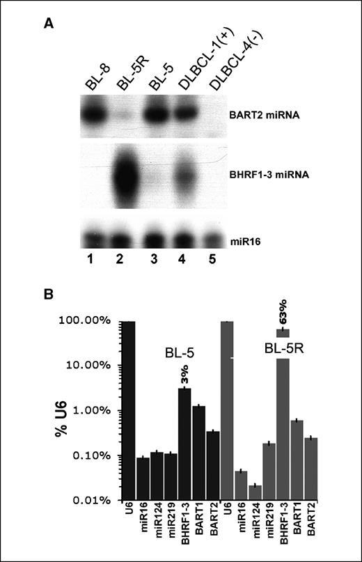 Figure 2. Differential expression of BHRF1-3 and BART2 miRNAs in BL cell lines. A, RPA analysis of BHRF1-3 and BART2 miRNA expression in BL lines BL-8 and BL-5, a lymphoblastoid derivative BL-5R, an EBV+ DLBCL-1(+), and an EBV− DLBCL-4(−). Expression of a cellular miRNA, miR16, was analyzed as loading control. B, real-time QPCR analysis of EBV miRNA expression in BL-5 and BL-5R cells. Bars, relative level of miRNAs in percentage to U6 RNA on the vertical axis on a logarithmic scale. Expression of EBV miRNAs (BHRF1-3, BART1, and BART2) and expression of cellular miRNAs (miR16, miR124, and miR219) were analyzed.