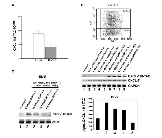 Figure 4. Differential expression and modulation of putative BHRF1-3 miRNA target CXCL-11/I-TAC. A, ELISA analysis of basal level expression of CXCL-11/I-TAC proteins secreted from culture supernatants of BL-5 and BL-5R. B, RT-PCR analysis of CXCL-11/I-TAC mRNA levels in BL-5R cells following BHRF1-3 miRNA antisense transfection. Top, green fluorescent protein (GFP) control to determine transfection efficiency; bottom, mRNA level of CXCL-11/I-TAC following BHRF1-3 antisense transfection in BL-5R cells. BL-5R cells were transfected with RNA oligonucleotides at the following dosages: control transfections with no oligo (lane 1); transfection with a scrambled RNA oligo at 0.25 μmol/L for 8 h (lane 2), 1.25 μmol/L for 8 h (lane 3), 0.25 μmol/L for 16 h (lane 4), and 1.25 μmol/L for 16 h (lane 5); and transfection with anti-BHRF1-3 miRNA oligo at 0.25 μmol/L for 8 h (lane 6), 1.25 μmol/L for 8 h (lane 7), 0.25 μmol/L for 16 h (lane 8), and 1.25 μmol/L for 16 h (lane 9). CXCL-11/I-TAC, CXCL-7, and glyceraldehyde-3-phosphate dehydrogenase (GAPDH) mRNA levels in transfected cells were also analyzed by RT-PCR. PCR products were visualized under UV in a Bio-Rad Gel Doc 2000 imager and inverted images of DNA bands were captured. C, effect of BHRF1-3 miRNA on induced CXCL-11/I-TAC. BL-5 cells were transfected with 100 nmol/L BHRF1-3 anti-miR and treated with 1,000 units/mL IFN-γ (lanes 2–5) and then transfected with BHRF1-3 miRNA sense oligos (lane 2, 0 nmol/L; lane 3, 10 nmol/L; lane 4, 30 nmol/L; lane 5, 100 nmol/L). CXCL-11/I-TAC and β-actin mRNA levels in transfected cells were then analyzed by RT-PCR (left) and CXCL-11/I-TAC protein level was analyzed by ELISA (right). Agarose gels were exposed under UV in a Bio-Rad Gel Doc 2000 imager and inverted images of DNA bands captured.