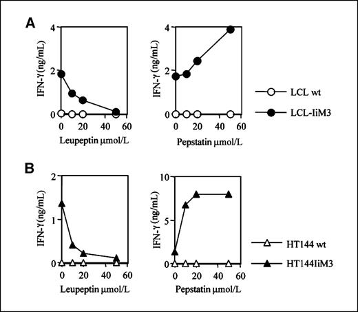 Figure 4. Effect of leupeptin-sensitive and pepstatin A–sensitive endosomal/lysosomal proteases on MAGE-A3161-175 processing by LCL and tumor cells. MAGE-A3161-175–specific CD4+ T cells were challenged with WT cells (LCL and HT144) or cells engineered to express MAGE-A3 in the endosomal/lysosomal compartment (LCL-IiM3 and HT144IiM3) in the presence of increasing nontoxic concentrations of the protease inhibitors leupeptin and pepstatin A. A, IFN-γ release in the presence of leupeptin-treated (left) or pepstatin A–treated (right) WT LCL and LCL-IiM3. B, IFN-γ release in the presence of leupeptin-treated (left) or pepstatin A–treated (right) WT HT144 and HT144IiM3.