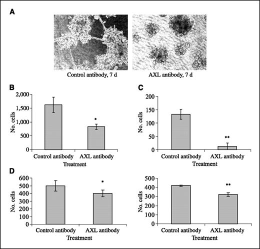 Figure 3. Effects of an anti-AXL polyclonal antibody on the motility and invasivity of human breast cancer cells. A, effects of anti-AXL antibody on the invasivity of cells in Matrigel outgrowth assay. Cells were plated on the surface of Matrigel and treated with anti-AXL antibody or control antibody for 7 d. Colony outgrowth was visualized at 10× magnification. B, the effects of indicated treatments on the motility of MDA-MB-435s were measured by Boyden chamber migration assay according to the procedure described in Materials and Methods. Data were recorded after 36 h toward medium containing 10% FCS as a chemoattractant. Bars, ±SD (n = 3). C, the effects of indicated treatments on the invasivity of MDA-MB-435s were also evaluated by Boyden chamber invasion assay as described above. D, the effects of treatments on the motility (left) and invasivity (right) of Hs578T were evaluated by Boyden chamber migration and invasion assays as described above. *, P < 0.05; **, P < 0.01, compared with respective control group treated with control antibody.