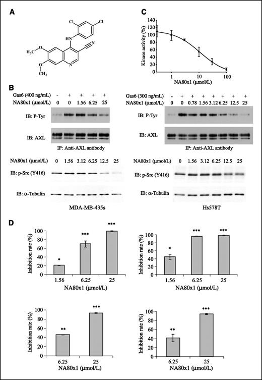 Figure 4. NA80x1 inhibits AXL phosphorylation, cell motility, and invasivity. A, chemical structure of NA80x1. B, effects of NA80x1 on phosphorylation of AXL and Src kinase family. For AXL, starved MDA-MB-435s (top left) or Hs578T (top right) cells were pretreated with indicated concentration of NA80x1 for 1 h, and subsequently stimulated with GAS6 for 20 min. Following immunoprecipitation of cell extracts with anti-AXL antibody, proteins were immunoblotted with anti-phosphotyrosine antibody and reprobed with anti-AXL antibody. For Src (bottom), MDA-MB-435s and Hs578T cells were treated with indicated concentration of NA80x1 for 2 h. Immunoblots were probed with anti–phospho-Src (Tyr416) antibody and reprobed with anti–α-tubulin antibody. C, effects of NA80x1 on AXL phosphorylation in in vitro kinase assay. In vitro kinase reactions were done with recombinant AXL enzyme by using a synthetic peptide as specific substrate for AXL. Kinase activities in the absence of inhibitor were set to 100%, and remaining activities at different NA80x1 concentrations are expressed relative to this value. D, effects of NA80x1 on the motility (top left, MDA-MB-435s; bottom left, Hs578T; analyzed for 12 h) and invasivity (top right, MDA-MB-435s; bottom right, Hs578T; analyzed for 36 h) cells were analyzed by Boyden chamber migration and invasion assays, respectively, toward medium containing 10% FCS as a chemoattractant. Bars, ±SD (n = 2). *, P < 0.05; **, P < 0.01; ***, P < 0.001, compared with respective control group without NA80x1 treatment.