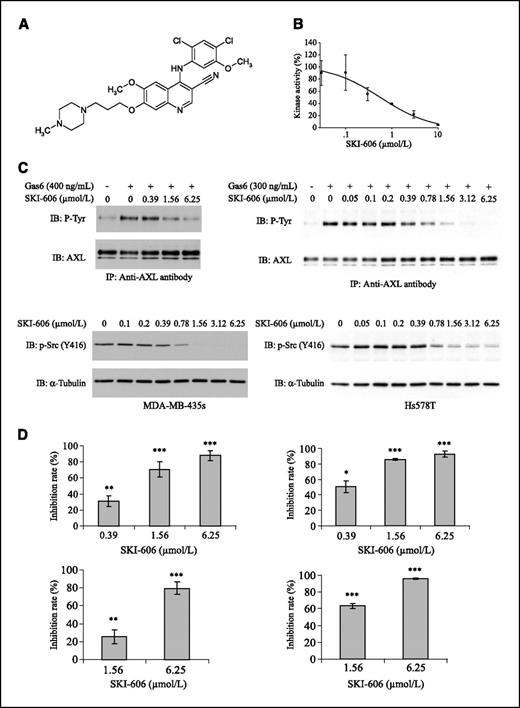 Figure 5. SKI-606 inhibits AXL phosphorylation, cell motility, and invasivity. A, chemical structure of SKI-606. B, effects of SKI-606 on AXL phosphorylation in in vitro kinase assay. In vitro kinase reactions were done with recombinant AXL enzyme by using a synthetic peptide as specific substrate for AXL. Kinase activities in the absence of inhibitor were set to 100%, and remaining activities at different SKI-606 concentrations are expressed relative to this value. C, effects of SKI-606 on phosphorylation of AXL and Src kinase family. For AXL, starved MDA-MB-435s (top left) or Hs578T (top right) cells were pretreated with indicated concentration of SKI-606 for 1 h, and subsequently stimulated with GAS6 for 20 min. Following immunoprecipitation of cell extracts with anti-AXL antibody, proteins were immunoblotted with anti-phosphotyrosine antibody and reprobed with anti-AXL antibody. For Src, MDA-MB-435s (bottom left) and Hs578T (bottom right) cells were treated with indicated concentration of SKI-606 for 2 h. Immunoblots were probed with anti–phospho-Src (Tyr416) antibody and reprobed with anti–α-tubulin antibody. D, effects of SKI-606 on the motility (top left, MDA-MB-435s; bottom left, Hs578T; analyzed for 12 h) and invasivity (top right, MDA-MB-435s; bottom right, Hs578T; analyzed for 36 h) of cells were analyzed by Boyden chamber migration and invasion assays, respectively, toward medium containing 10% FCS as a chemoattractant. Bars, ±SD (n = 2). *, P < 0.05; **, P < 0.01; ***, P < 0.001, compared with respective control group without SKI-606 treatment.