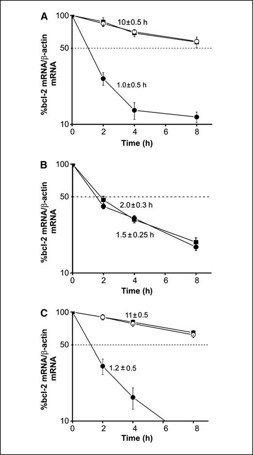Figure 5. Effect of AS1411 on the half-life of bcl-2 mRNA in MCF-7, MDA-MB-231, and MCF-10A cells. Levels of total intracellular bcl-2 mRNA were measured by RT-PCR in control cells (▪) and cells treated with 10 μmol/L AS1411 (•). Cells were incubated with 10 μmol/L AS1411 for 72 h and semiquantitative RT-PCR was used to analyze bcl-2 mRNA levels at the indicated time points (0, 2, 4, and 8 h) after the addition of actinomycin D. Data were normalized to β-actin mRNA. Points, mean of three experiments; bars, SE. A, MCF-7 cells. B, MCF-10A cells. C, MDA-MB-231 cells.