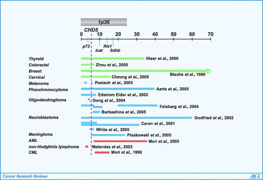 Figure 1. 1p36 is deleted in a variety of human cancers. The distal portion of the short arm of human chromosome 1 is shown, with the 24.9-Mb 1p36 region depicted by a gray rectangle. A subset of deletions that have been reported in a variety of epithelial (green), neural-associated (blue), and lymphoid (red) malignancies is shown to scale. Several 1p36 tumor suppressors have been proposed. Many of the deletions encompass CHD5 (dotted line), whereas others are clearly in distinct regions of 1p36.