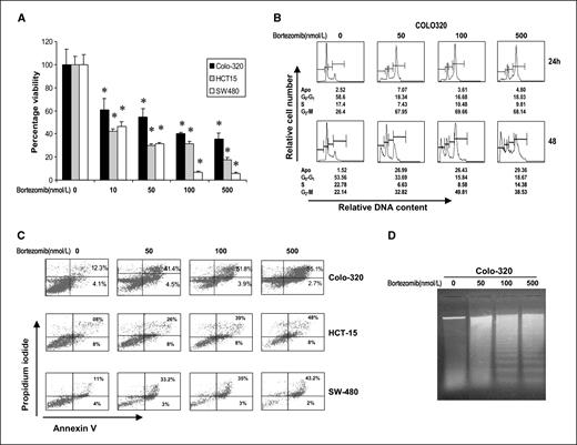 Figure 2. A, bortezomib inhibits the proliferation of colorectal carcinoma cells. Colo320, HCT-15, and SW480 cells were incubated with 10, 50, 100, and 500 nmol/L bortezomib for 48 h. Cell proliferation assays were performed using MTT as described in Materials and Methods. Columns, mean of three independent experiments with replicates of six wells for all the doses and vehicle control for each experiment; bars, SD. *, P < 0.001, statistically significant (Student's t test). B, bortezomib treatment initially causes G2-M arrest at 24-h treatment leading to accumulation of Apo fraction of cell cycle in CRC cells after 48 h. Colo320 and HCT-15 cells were treated with 50, 100, and 500 nmol/L bortezomib for 48 h. Thereafter, the cells were washed, fixed, and stained with propidium iodide, and analyzed for DNA content by flow cytometry as described in Materials and Methods. C, bortezomib-induced apoptosis detected by Annexin V/propidium iodide dual staining. Colo320, HCT-15, and SW480 cells were treated with various doses of bortezomib (as indicated) for 48 h and cells were subsequently stained with fluorescein-conjugated Annexin V and propidium iodide. D, Colo320 cells were treated with bortezomib as indicated for 48 h, and DNA was extracted and separated by electrophoresis on 1.5% agarose gel.