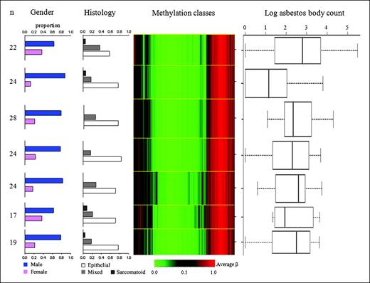 Figure 3. β Mixture model of methylation profiles in pleural mesothelioma. Green, methylation average β for unmethylated; red, methylation average β for methylated. Methylation profile classes are stacked in rows separated by yellow lines, and class height corresponds to the number of samples in each class. Class methylation at each locus is a mean of methylation for all samples within a class. Left, bar charts show proportions for gender and tumor histology among samples within each class. Right, box plots of log asbestos body counts for each class. Controlling for gender, methylation class membership predicts asbestos burden (P < 0.03).