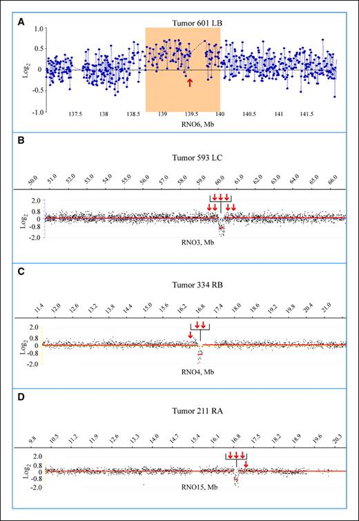 Figure 1. Illustration of chromosomal regions exhibiting DNA copy number changes in rat mammary tumor samples as detected by long oligonucleotide aCGH (A-D). Red arrows, location of designed primer pairs used for verification of the aCGH data with PCR (see Table 1 for exact location of the primer pairs in bp). A, tumor 601 LB exhibited a clear DNA copy number gain of the RNO6q32 region (138.5-140 Mb) containing the Ighv genes when compared with paired spleen DNA as control. B, homozygous deletion was identified in tumor 593 LC covering a 0.295 Mb DNA segment at RNO3q23 involving the Zfp533 gene. C, tumor 334 RB exhibited a 0.140 Mb deleted DNA segment at RNO4q12 covering the end part of the Sema3e gene. D, tumor 211 RA harbored a homozygous deletion of a 0.145 Mb DNA segment at RNO15p15-14 encompassing the Fhit gene.
