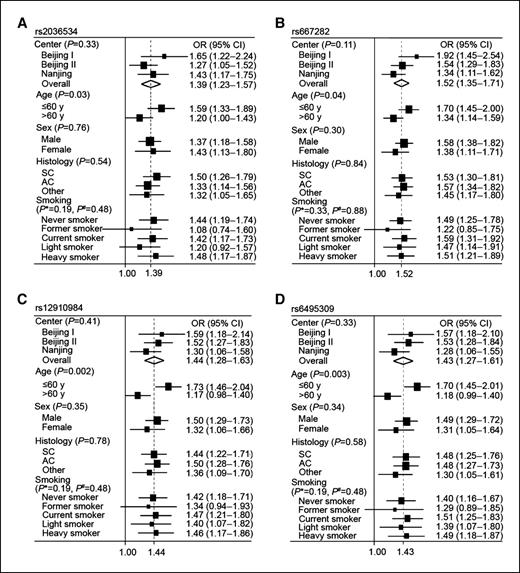 Figure 1. Forest plot representing lung cancer risk and the four variants in the 15q25 region assuming dominant effects, adjusted by age, sex, and center (A) rs2036534, (B) rs667282, (C) rs12910984, and (D) rs6495309. SC, squamous cell carcinoma; AC, adenocarcinoma; other includes small cell lung cancer, mixed cell carcinoma, and bronchioalveolar carcinoma. P values are from heterogeneity tests. *, never smokers versus former smokers versus current smokers; †, never smokers versus light smokers versus heavy smokers.