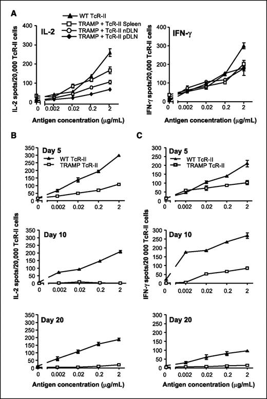 Figure 1. Progressive loss of TcR-II cell proliferation and cytokine secretion. A, TcR-II T cells isolated from TRAMP or WT mice 3 days after transfer were stimulated with increasing concentrations of antigen (TAg362-384) and tested for IL-2 (left) and IFN-γ(right). Mean ± SE. Representative of three separate experiments. Frequency of TcR-II T cells isolated from TRAMP prostates or WT mice that secrete IL-2 (B) or IFN-γ (C) in response to stimulation with TAg362-384 was tested at the indicated time after transfer. B, WT versus TRAMP: P < 0.01 (day 5) and P < 0.001 (days 10 and 20). C, WT versus TRAMP mice: P < 0.001 on days 10 and 20. P values represent significant differences between experimental groups for data across all antigen concentrations ≥ 0.002 μg/mL. Mean ± SE. Representative of three separate experiments. nDLN, nondraining lymph nodes, pDLN, prostate-draining lymph nodes.