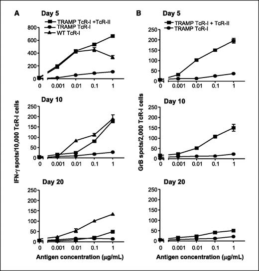 Figure 3. TcR-II cell enhancement of antitumor effector functions is not sustained in the tumor microenvironment. The frequency of IFN-γ-secreting (A) and GrB-secreting (B) TcR-I cells from TRAMP mice receiving TcR-I cells alone or as cotransfer (TcR-I + TcR-II) was determined by ELISPOT assay. The number of IFN-γ-secreting TcR-I cells from the cotransfer group is significantly greater at days 5 and 10 after transfer (P < 0.001 for data across all antigen concentrations ≥ 0.001 μg/mL). The number of GrB-secreting TcR-I cells from the cotransfer group is significantly greater than TcR-I alone at all time points (P < 0.001 for data across all antigen concentrations ≥ 0.01 μg/mL). Mean ± SE. Representative of five separate experiments.