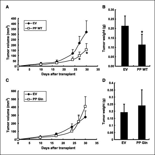 Figure 3. The LOX-PP Gln variant has reduced ability to suppress Her-2/neu tumor formation. Doxycycline-inducible cells were pretreated with 2 μg/mL doxycycline and injected s.c. in the flanks of NCrnu/nu nude mice (n = 6). A and C, tumor volumes were measured and tumor growth curves plotted. Bars, SE. B and D, average tumor weights at day 30. Bars, SE. The average tumor weight for NF639-LOX-PP WT xenografts was 52% of that for the NF639-EV group (P = 0.03; B). There is no significant difference between NF639-LOX-PP Gln xenografts compared with NF639-EV control (P = 0.38; D).