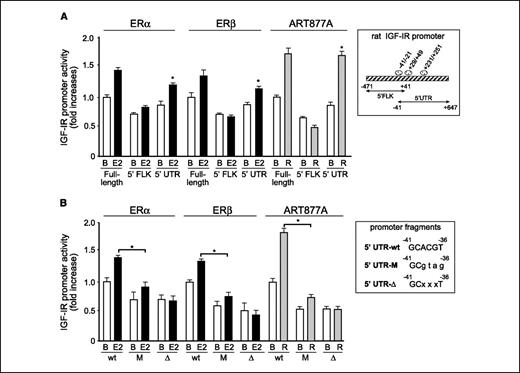 Figure 5. Identification of CREB-binding sequences in the IGF-IR promoter. A, HEK293 cells were transiently cotransfected as indicated in Materials and Methods. Cells were incubated with either E2 or R1881 and IGF-IR promoter activity was measured. Columns, mean of three separate experiments, normalized for transfection efficiency with a GFP vector; bars, SD. Box, schematic representation of rat IGF-IR proximal promoter region with the putative CREB-binding sites (ovals) identified. B, HEK293 cells were transiently cotransfected as indicated in Materials and Methods. Cells were incubated in the presence or absence of sex steroids and IGF-IR promoter activity was measured. Columns, mean of three separate experiments, normalized for transfection efficiency with a GFP vector; bars, SD. Inset, nucleotide substitution and deletion in the 5′-UTR mutated promoter fragments (lowercase). *, P < 0.05, unstimulated (B) versus stimulated (Student's t test for unpaired values).