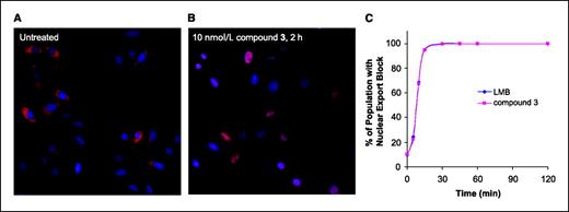 Figure 1. Nuclear export is rapidly blocked by treatment with LMB or compound 3. SiHa (human cervical cancer) cells were treated with 10 nmol/L compound 3 or LMB for the indicated time points up to 2 h. Cells were formaldehyde fixed and stained for RanBP1 (a biomarker for CRM1 inhibition; red) and Hoechst (to define the nucleus; blue). A, RanBP1 is localized to the cytoplasm in untreated cells. B, after drug treatment, nuclear localization of RanBP1 is detected in essentially 100% of the cells. C, for each time point, images were acquired and analyzed using a Cellomics ArrayScan Vti with Molecular Translocation software. By 30 min, RanBP1 is localized to the nucleus in the entire population. A minimum of 500 cells per well were analyzed.