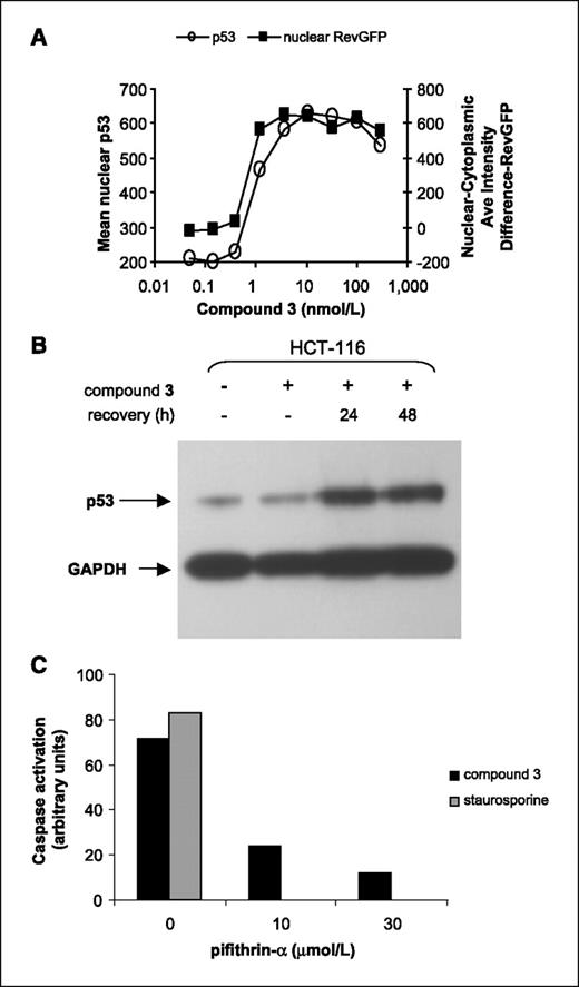 Figure 4. Nuclear export inhibition correlates with sustained p53 overexpression, and loss of p53 function negatively affects NEI-induced apoptosis. A, a U20S osteosarcoma cell line containing an NES-RevGFP reporter protein (32) was treated with increasing concentrations of compound 3. After 24 h of continuous drug treatment, cells were formaldehyde fixed and stained for p53 and with Hoechst dye. For each concentration, images were acquired and a minimum of 500 cells per time point were analyzed using a Cellomics ArrayScan Vti with Compartmental Analysis software. In untreated cells, the RevGFP fusion protein localizes predominantly to the cytoplasm, but treatment with compound 3 causes accumulation of RevGFP in the nucleus (▪). p53 expression levels (○) correlate with the level of nuclear export block. Western blot analysis confirms the up-regulation of p53 expression in response to nuclear export inhibition. B, HCT-116 colon cancer cells were treated with 10 nmol/L compound 3 for 1 h, followed by a recovery period in drug-free medium. Cell extracts were made at the indicated times and analyzed by SDS-PAGE for p53 expression levels. GAPDH is shown as a control for protein loading levels. C, SiHa cells were treated with 50 nmol/L compound 3 in the presence or absence of 10 or 30 μmol/L of pifithrin-α, an inhibitor of p53. After 72 h, caspase activation was measured using the Promega Caspase-Glo 3/7 Assay. As a positive control for apoptosis, cells were treated with 1 μmol/L staurosporine.