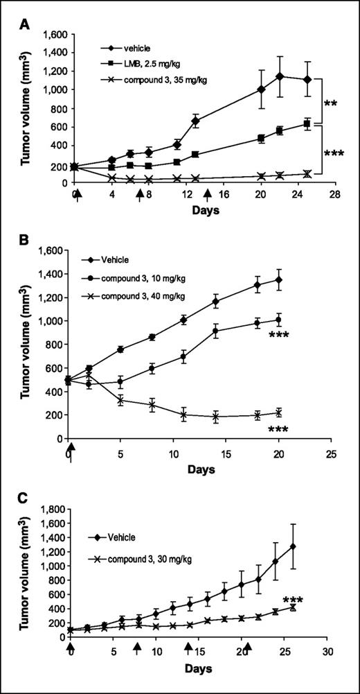 Figure 5. Compound 3 inhibits tumor growth in cancer xenograft models. A, SiHa tumor–bearing mice (n = 6 each group) were treated i.v. with vehicle, 2.5 mg/kg LMB, or 35 mg/kg compound 3 using a q7d schedule for a total of three doses (arrows, dosing days). Tumor growth curves of vehicle- or NEI-treated groups are shown. In the compound 3–treated group, two mice (∼33%) had no detectable tumors after day 6 and remained tumor-free at day 25 of the follow-up period. **, P < 0.01; ***, P < 0.001 (two-way ANOVA). B, SiHa xenograft tumors (n = 6 each group) were allowed to reach ∼500 mm3 before dosing (arrow, dosing day). A single i.v. bolus dose of compound 3 produced growth inhibition at 10 mg/kg or regression at 40 mg/kg of large SiHa tumors. ***, P < 0.001 (two-way ANOVA). C, HCT-116 tumor–bearing mice were treated i.v. with either vehicle (n = 7) or 30 mg/kg compound 3 (n = 8) using a q7d schedule for a total of four doses (arrows, dosing days). Tumor growth curves are shown. ***, P < 0.001 (two-way ANOVA).