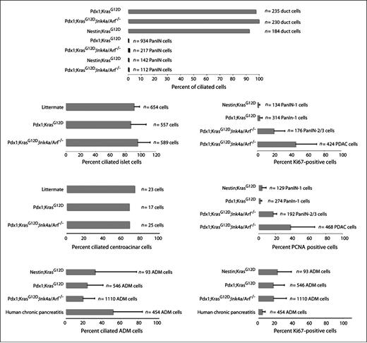 Figure 6. Quantification of primary cilia and proliferation indices in human and murine PanINs, PDAC, and ADM lesions. Data are the means 9 to 12 fields; bars, SD. N, total number of cells scored per grouping.