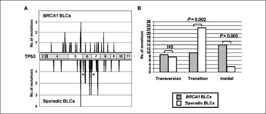 Figure 1. Characterization of the TP53 mutations identified in BRCA1 and sporadic BLCs. A, distribution of the identified TP53 mutations along the coding sequence in BRCA1 BLCs (top) and sporadic BLCs (bottom). Asterisks, mutations at splicing sites. B, comparison of the types of mutations between BRCA1 BLCs (gray columns) and sporadic BLCs (white columns). χ2 Test P values are indicated over brackets. NS, not significant.