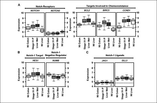 Figure 1. Overexpression of Notch-1 in colon cancer progression. A, in a microarray analysis of genes that are overexpressed during colon cancer progression from primary tumors to metastatic liver lesions, we identified several known chemoresistance genes, including BCL2 (bcl-2), BIRC5 (survivin), and CCND1 (cyclin D1), but also a novel target usually involved in developmental signaling, NOTCH1. The expression level of NOTCH1 is enhanced in metastatic lesions (stage IV primary and liver metastases) compared with normal colon mucosa or liver parenchyma. In contrast, a related Notch receptor, NOTCH2, is not increased in expression during colon cancer progression. Data are shown as box plots of mean relative gene expression ± SD. B, HES1, a downstream transcriptional target of Notch-1, is also overexpressed during colon cancer stage progression, whereas the expression of a negative Notch regulator, NUMB, which binds the NICD and prevents its translocation into the nucleus, is suppressed in advanced colon cancers. C, expression of the Notch-1 ligands JAG1 (left) and DLL3 (right) is not increased during colon cancer progression.