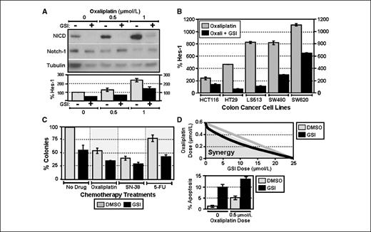 Figure 4. GSIs lessen Notch-1 induction by oxaliplatin. A, HCT116 cells were cotreated with oxaliplatin and GSI34 at 10 μmol/L (+) or DMSO for 48 h (−). Whereas oxaliplatin induced NICD expression, cotreatment with GSI34 lessened this induction (top). In contrast, the expression of full-length Notch-1 was not affected by oxaliplatin, whereas cotreatment with GSI34 increased levels (bottom). Finally, GSI34 (bottom, black columns) lessened the induction of Hes-1 activity by oxaliplatin (gray columns). B, a panel of colon cancer cells was treated with oxaliplatin (1 μmol/L) combined with either GSI34 (10 μmol/L) or 0.1% DMSO for 48 h to assess Hes-1 activity. GSI34 (black columns) abrogated the induction of Hes-1 by oxaliplatin in each colon cancer cell line. C, HCT116 were treated with 0.1% DMSO, oxaliplatin (1 μmol/L), GSI34 (10 μmol/L), or the combination of both drugs for 48 h, and colonies were counted after 14 d. Although GSI34 or oxaliplatin decreased colony formation, the combination of both drugs most significantly suppressed viability (Student's t test, P = 0.034). The combination of GSI34 with 5-FU (8 μmol/L) or SN-38 (20 nmol/L) also suppressed colonies more than either treatment alone. Columns, percentage of colonies in the DMSO group; bars, SE. D, to create an isobologram, HCT116 cells were treated with increasing ratios of oxaliplatin (up to 0.6 μmol/L) and GSI34 (up to 25 μmol/L) for 48 h. The percentage of colonies determined the IC50 values for each ratio, which were plotted (black line) and compared with the additive effect (gray line), to suggest a synergistic interaction. To measure apoptosis, HCT116 cells were cotreated with oxaliplatin (0.5 μmol/L) and either GSI34 at 10 μmol/L (black columns) or 0.1% DMSO (gray columns) for 48 h and stained with DAPI. The number of apoptotic cells was increased by the combination treatment (P < 0.05). Columns, percentage of cells with nuclear fragmentation; bars, SE.
