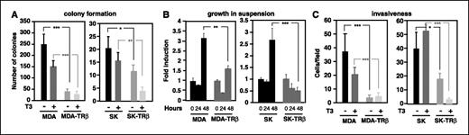 Figure 3. TRβ1 blocks anchorage-independent growth and invasion. A, colony formation in soft agar was determined in parental MDA and SK cells and in cells expressing TRβ1. Cells were grown in the presence and absence of 100 nmol/L T3, and the number of colonies (mean ± SD) was scored after 40 d. B, cells were grown in suspension under rocking conditions for 0, 24, and 48 h. Data (mean ± SD) are expressed as fold induction with respect to the values obtained at time 0. C, cells incubated for 24 h in the presence and absence of 5 nmol/L T3 were inoculated into the upper chamber of Transwell plates containing Matrigel. Migration lasted for 16 h and also occurred in the presence and absence of hormone. Cells that passed through the filter were stained and scored. Columns, mean; bars, SD.