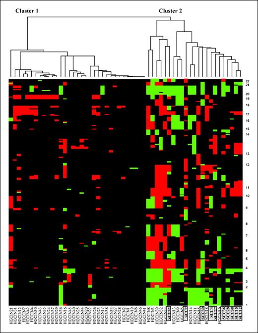 Figure 3. Result of unsupervised hierarchical clustering of 46 CIN2/3 lesions together with 10 SCCs (gray). In the heatmap, cases are ordered along the X-axis and genomic loci along the Y-axis marked by chromosome number. Red, losses; green, gains.