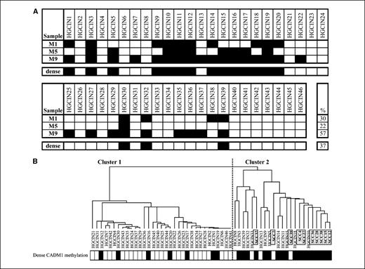 Figure 5. A, MSP results in all CIN2/3 lesions for 3 regions (M1, M5, and M9) within the CADM1 promoter. Black boxes, methylation. The presence of dense (≥2 regions) methylation is indicated by black boxes in the bottom row. In the last column, percentages of methylation are shown for the separate regions as well as for dense methylation. B, dense CADM1 promoter methylation (≥2 regions) is shown in relation to the unsupervised hierarchical clustering results. Black boxes, dense methylation.