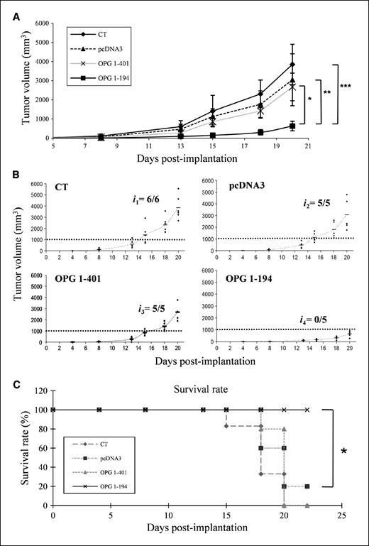Figure 1. mOPG 1-194 transgene expression significantly diminishes tumor volume and progression and augments survival rate in an osteolytic model of mouse osteosarcoma. Mice were transplanted with POS-1 osteosarcoma fragments as described in Materials and Methods. Lutrol/DNA formulations were injected as a curative protocol into both tibial anterior muscles once a week. The tumor volume (V) was calculated from the measurement of two perpendicular diameters according to the following formula: V = 0.5 × L × S2. The mean (A) or the individual (B) tumor volume of mice treated with p-mOPG 1-194/Lutrol formulation is compared with that of mice that received p-mOPG 1-401/Lutrol, pcDNA3/Lutrol, or control mice without tumors. ***, P < 0.005; **, P < 0.01; *, P < 0.05. ix, tumor incidence. C, overall survival rate was compared between mice that received p-mOPG 1-194/Lutrol, p-mOPG 1-401/Lutrol, pcDNA3/Lutrol, and control mice over a 20-d period. One representative experiment of three is shown. *, P < 0.01.