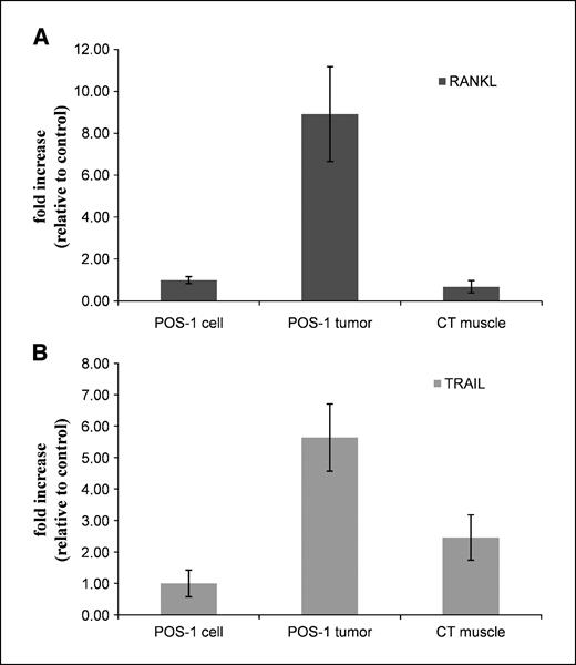 Figure 3. Comparison of RANKL and TRAIL expression in tumor tissue. RANKL (A) and TRAIL (B) mRNA expression were analyzed by real-time PCR in the tumor tissue compared with the controlateral muscle as control tissue. Results are expressed as fold increase compared with the POS-1 cells. Experiments were performed at least thrice in triplicate.