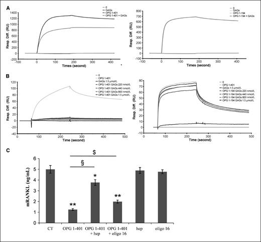 Figure 6. GAGs inhibit OPG binding to TRAIL (A) or RANKL (B) and modulate OPG bioactivity in vitro. Surface plasmon resonance was used to study interactions between OPG (1-401 and 1-194), RANKL, and GAGs (oligosaccharides containing 16 sugar units) or OPG (1-401 and 1-194), TRAIL, and GAGs. Recombinant OPG 1-401 or OPG 1-194 previously preincubated or not at room temperature for 45 min with 400 nmol/L GAGs was injected over immobilized RANKL (A) or TRAIL (B). Flow rate, 20 μL/min; injected volume, 200 μL. C, RANKL production in the supernatant of 2.93 cells stably transfected with full-length murine RANKL was detected by ELISA in the presence or absence of OPG 1-401 (50 ng/mL) alone or preincubated with heparin (50 nmol/L) or oligo 16 (200 nmol/L) during 45 min at room temperature. **, P < 0.001; *, P < 0.05, when compared with control; $, P < 0.05, when OPG + oligo 16 is compared with OPG alone; §, P < 0.001, when OPG + heparin is compared with OPG alone.