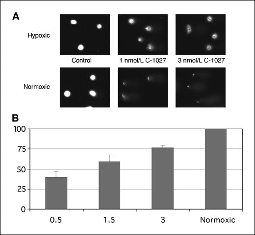 Figure 4. Oxygen dependence of C-1027–induced cellular DNA breaks. A, representative alkaline Comet (see Materials and Methods) images are shown of HCT116 cells incubated with C-1027 for 1 h under hypoxic or normoxic conditions. B, the extent of DNA breaks is reflected by quantitation of Comet tail intensity as described in Materials and Methods. The bar graph represents the average of 2 to 3 experiments that measured the oxygen-dependent break activity of C-1027, NCS, and calicheamicin expressed as a percentage of break activity in hypoxic relative to normoxic cells.