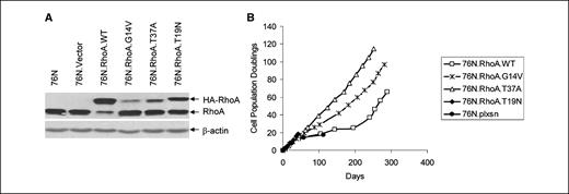 Figure 1. RhoA overexpression induces hMEC immortalization. A, cell lysates from indicated cells were analyzed for RhoA expression using anti-RhoA or β-actin (loading control) antibodies by Western blotting. B, cumulative PDs of cells expressing vector or various Rho mutants.