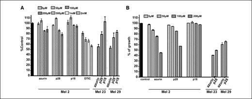 Figure 6. Anticell proliferative activity of azurin and its peptides. UISO-Mel-2 cells were incubated with increasing concentrations of azurin, p28, or p18 at 37°C for 72 h. MTT (A); direct cell count (B). Cell viability (MTT) or cell number in control wells were considered as 100%. Columns, mean; bars, SE.