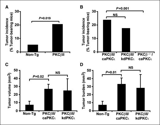 Figure 1. PKCβII drives formation and growth of AOM-induced tumors. A, transgenic PKCβII mice overexpressing PKCβII in the colonic epithelium exhibit enhanced tumor incidence after exposure to AOM. The Fisher Exact test was used to compare tumor incidence between genotypes. Nontransgenic mice (Non-Tg; n = 40); transgenic PKCβII mice (PKCβII; n = 78). B, expression of constitutively active PKCι (caPKCι) or kinase-deficient PKCι (kdPKCι) in transgenic PKCβII mice has little effect on tumor incidence induced by PKCβII. PKCβ−/− (KOβ) mice exhibit no tumors even when expressing caPKCι. PKCβII/caPKCι, n = 40; PKCβII/dnPKCι, n = 38; PKCβ−/−/caPKCι, n = 40. C and D, transgenic PKCβII mice expressing either caPKCι or kdPKCι exhibit increased tumor volume (C) and tumor burden (D) when compared with nontransgenic mice.