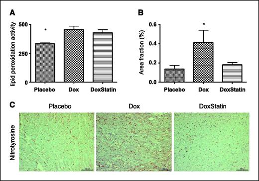 Figure 1. Cardiac lipid peroxidation activity and nitrotyrosine expression. Lipid peroxidation activity from heart tissue (A) were quantified using a commercial kit (n = 6 per group). Cardiac nitrotyrosine expression (B) was quantified by immunostaining and digital image analysis. Columns, mean; bars, SE. Representative pictures of nitrotyrosine staining (red) are depicted here (C; n = 6 per group). Dox, doxorubicin.