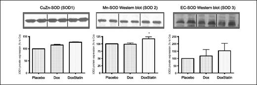 Figure 2. Cardiac regulation of SODs. Cardiac protein expression on SODs 1, 2, and 3 was measured by Western blot analyses. Representative bands are depicted above the quantification graph (n = 6 per group). Columns, mean; bars, SE. *, P < 0.05 versus doxorubicin.