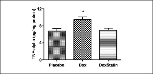 Figure 3. Cardiac protein expression of TNF-α in doxorubicin-induced cardiomyopathy. Cardiac protein expression was measured using ELISA (n = 6 per group). Columns, mean; bars, SE. * = P < 0.05 versus DoxStatin.