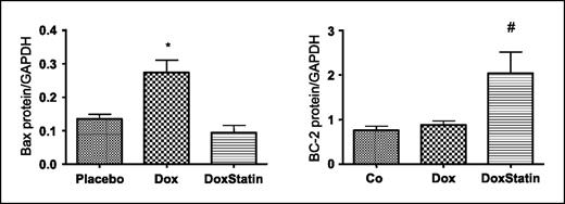Figure 4. Cardiac protein expression of Bax and Bcl-2. Cardiac protein expression of Bax (A) and Bcl-2 (B) as measured by Western blot analyses (n = 6 per group). Columns, mean; bars, SE. GAPDH, glyceraldehyde-3-phosphate dehydrogenase.