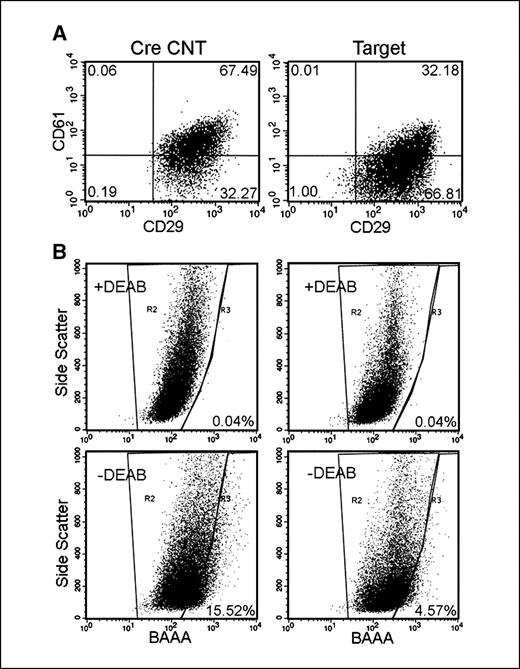Figure 4. Decreased MaCSC content in the primary tumors of Target mice. A, freshly isolated tumor cells from CreCNT (left) and Target (right) mice were depleted of CD45-positive and CD31-positive cells and labeled with CD24, CD29, and CD61 antibodies. The MaCSC population in each strain of mice was gated as Lin−CD24+CD29+CD61+ (top right quad) under the same gating criteria. Results are representative of two separate experiments. In the second experiment, 58.32% and 28.08% Lin−CD24+ cells are CD29+CD61+ for CreCNT and Target tumor cells, respectively. B, Aldefluor assay of freshly isolated tumor cells of CreCNT (left) and Target (right) mice. The percentage of ALDH+ cells was determined under similar gating criteria (resided in gate R3). Results are representative of two separate experiments. In the second experiment, 23.37% and 8.28% tumor cells are ALDH+ for CreCNT and Target tumor cells, respectively (see Supplementary Fig. S2).