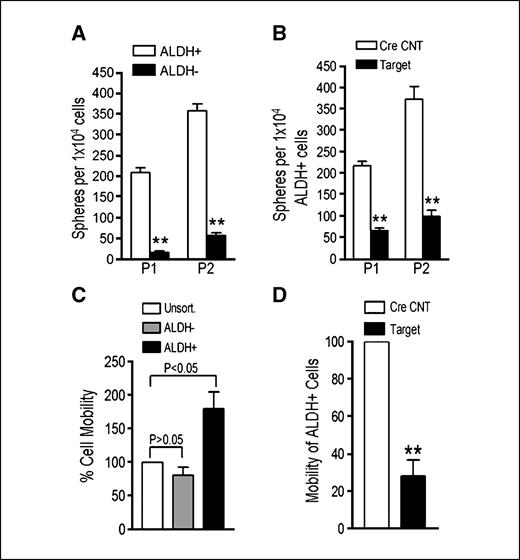 Figure 5. MaCSCs isolated from the primary tumors of the Target mice have reduced capacity for self-renewal and migration in vitro. A, freshly isolated tumor cells of a CreCNT mouse were sorted for ALDH+ and ALDH− cells and analyzed for primary (P1) and secondary (P2) mammosphere formation under suspension culture conditions. Results are generated from eight separated incubations for each sample and are representative of two independent experiments. **, P < 0.001 compared with values for ALDH+ cells. B, ALDH+ tumor cells of CreCNT and Target mice were analyzed for primary (P1) and secondary (P2) formation of mammospheres. Results are generated from six separated incubations for each sample and are representative of two independent experiments. Data for a separate experiment, as well as images of mammospheres, are shown in Supplementary Fig. S3C. **, P < 0.001 compared with values for cells isolated from CreCNT mice. Bar, 200 μm. C, unsorted, ALDH−, and ALDH+ tumor cells of CreCNT mice were analyzed using Boyden chamber assay for their migratory capacity. Results are drawn from three independent experiments. D, ALDH+ tumor cells of CreCNT and Target mice were analyzed in Boyden chamber assay to compare their migratory capacity. Results are drawn from three independent experiments. **, P < 0.001 compared with values for cells isolated from CreCNT mice. Representative images of migrated cells are shown in Supplementary Fig. S4.