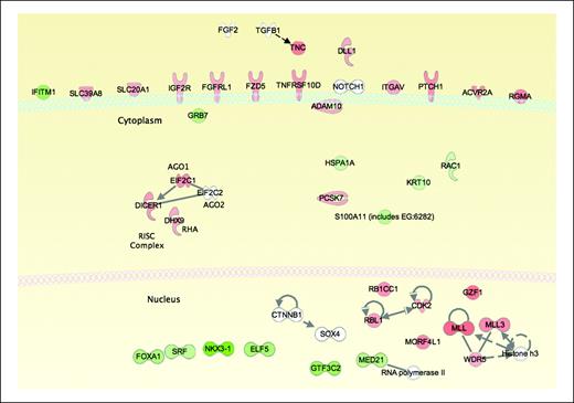 Figure 4. IPA analysis of direct target genes graphically illustrating the cellular location of the SOX4 transcriptional target genes. SOX4 regulates a host of nuclear and membrane localized proteins, as well as multiple components of the RISC complex. Red, target genes up-regulated by SOX4; green, down-regulated genes; white, genes for which no expression change was detected.