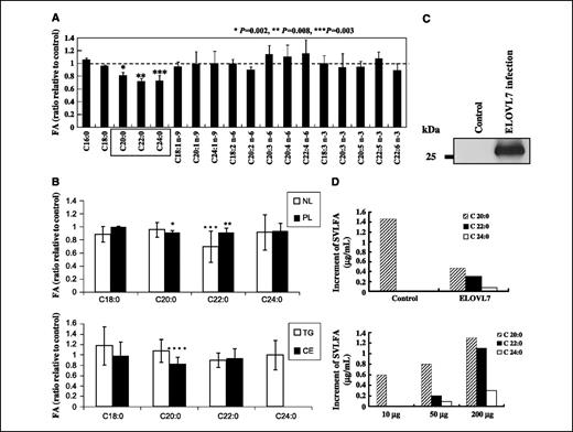 Figure 3. ELOVL7 was involved in the production of SVLFAs. A, the total fatty acid composition of C4-2B cells in ELOVL7 knockdown was analyzed by GC/MS. Y-axis showed the relative ratio of each long-chain fatty acids (siELOVL7 versus siEGFP). ELOVL7 knockdown resulted in the specific reduction of SVLFAs (P = 0.002 for C20:0, P = 0.008 for C22:0, P = 0.003 for C24:0). B, GC/MS analysis after the purification on silica beads displayed decrease trend of SVLFAs in phospholipid (PL) and neutral lipid (NL) fractions (C20:0 in phospholipid: *, P = 0.006; C22:0 in phospholipid: **, P = 0.014; and C22:0 in neutral lipid: ***, P = 0.072 by Student's test) in C4-2B cells by ELOVL7 knockdown (top). In neutral lipid fraction [triglycerides (TG) and cholesterol ester (CE)], C20:0 fraction in cholesterol ester was significantly decreased in ELOVL7 knockdown (****, P = 0.0489; bottom). C24:0 in cholesterol ester fraction was not detected by GC/MS analysis. Y-axis showed the relative ratio of each fatty acid of siELOVL7-treated prostate cancer cells versus that of siCONTROL-treated cells, and these experiments were performed quadricated. C, Western blot analysis revealed that ELOVL7 protein was present in the microsome fraction of the Sf21 cells infected with ELOVL7-expressing baculovirus. D, in vitro fatty acid elongation activity using an arachidoyl (C20:0)-CoA as a substrate and the microsome fraction as an enzyme source. Elongation activity was measured as an increment of each fatty acid level before and was measured by GC/MS analysis (Y-axis, μg/mL) after the 5-min reaction. The microsome (50 μg) prepared from ELOVL7-expressing cells produced C22:0 and C24:0, whereas the microsome from none-infected cells did not at all (top). An increment of each fatty acid level in 10, 50, and 200 μg of the enzyme source microsome fraction was measured (bottom). Efficiency of the fatty acid chain elongation of the microsome fraction of ELOVL7-expressing cell was dose dependent.